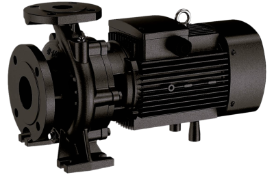 NBW L 125-100-XX-X/2-380-G (2 полюса двигателя, рабочее колесо - чугун)